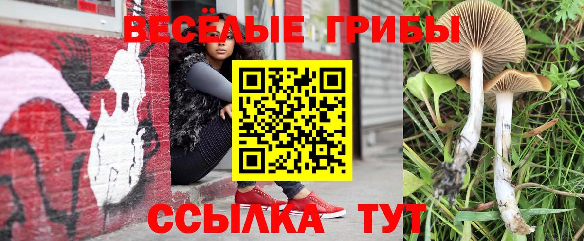 Галлюциногенные грибы MAGIC MUSHROOMS  Псилоцибиновые грибы прущие грибы  Урюпинск  Вход с VPN 
