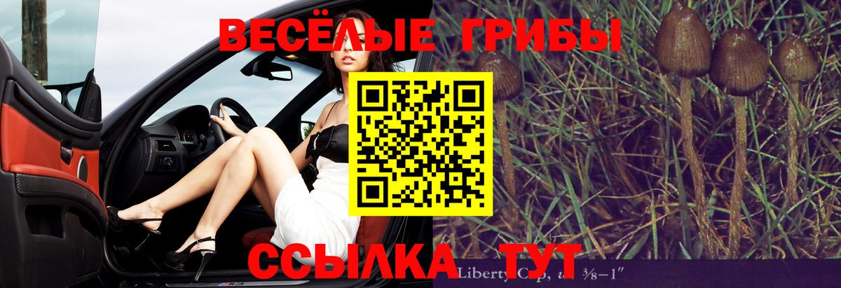 Псилоцибиновые грибы ЛСД Урюпинск